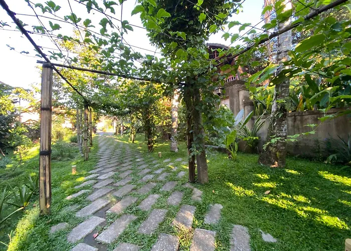 Country Side In Taro Tegallalang Tampaksiring